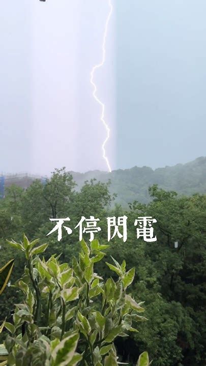 雷電雨|雷